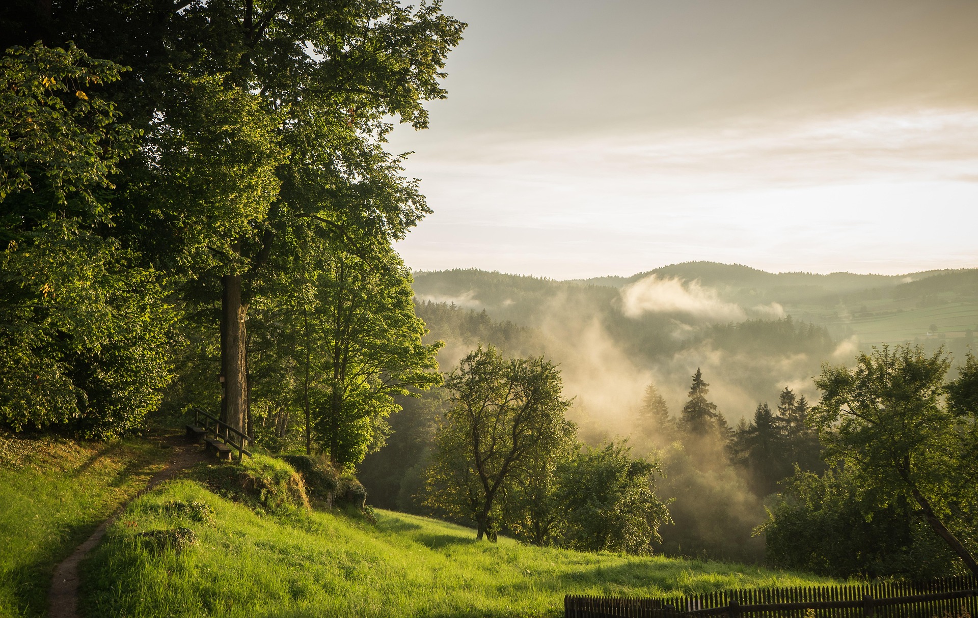 Achtsames Stressmanagement im Wald - Zurück zu innerer Ruhe, Klarheit und neuer Kraft